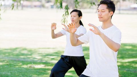 Partners: The Whole Body Is the Hand cover image cdn