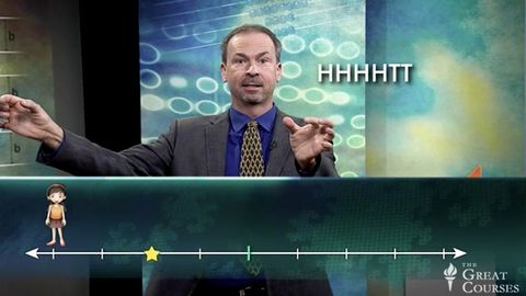 Visualizing Random Movement, Orderly Effect cover image cdn