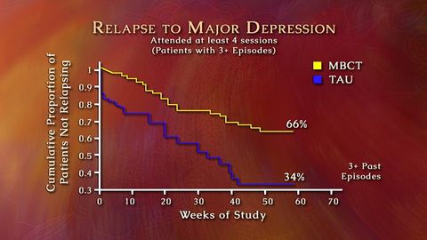 Groundbreaking Mindfulness Programs cover image cdn