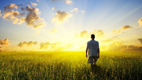 The Promise of Enlightenment cover image cdn