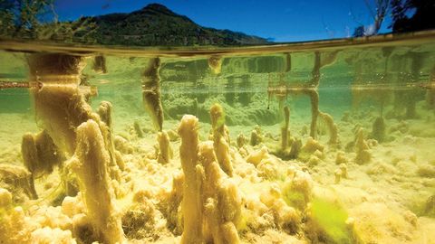 Above- and Below-Surface Waterscapes cover image cdn