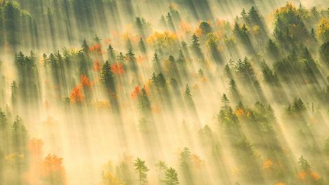 Five Ideas for Successful Landscape Photos cover image cdn