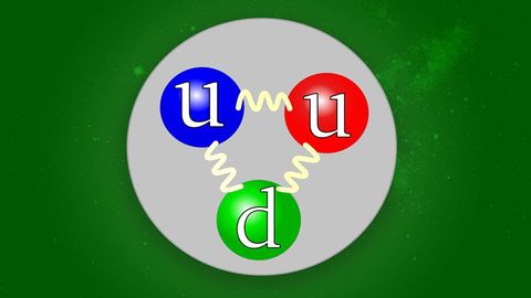 The Particle Zoo cover image cdn