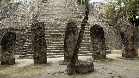 Maya Hieroglyphs - Breaking the Code cover image cdn