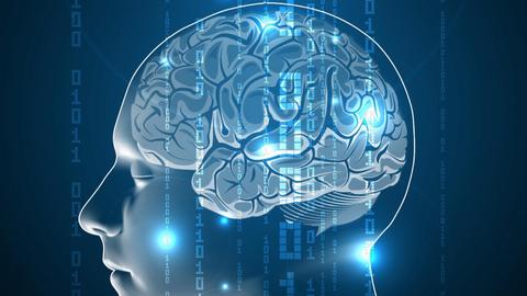 Outsmart Yourself: Brain-Based Strategies to a Better You. Episode 1, Take Control of Your Automatic Brain cover image cdn