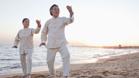 Essentials of Tai Chi and Qigong. Episode 5, The Five Families of Tai Chi Practice cover image cdn