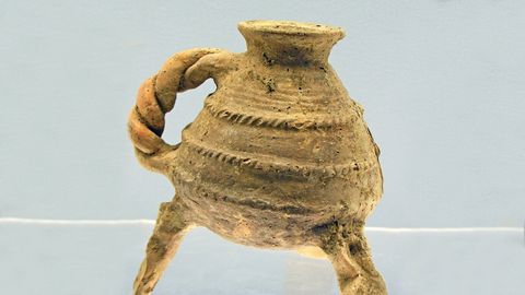 Food, Science, and the Human Body. Episode 7, Cooking and the Control of Fire cover image cdn