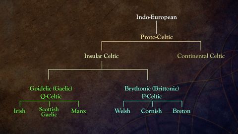 The Celtic World. Episode 4, Celtic Languages in the Ancient World cover image cdn