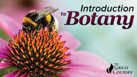 Plant Science cover image cdn