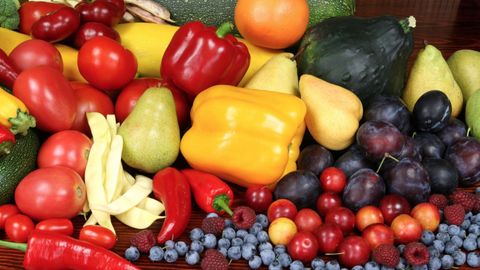 Optimizing Brain Fitness. Episode 3, Care and Feeding of the Brain cover image cdn