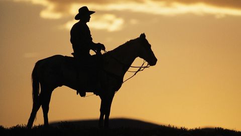 Screenwriting 101. Episode 15, Redemption: Unforgiven cover image cdn