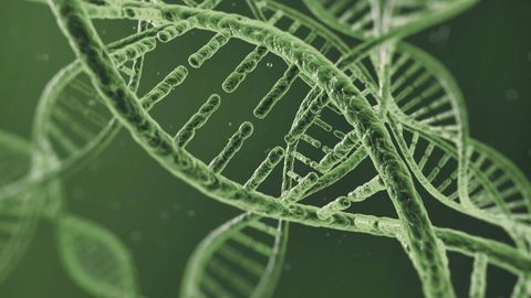 Foundations of Organic Chemistry. Episode 23, DNA and Nucleic Acids cover image cdn