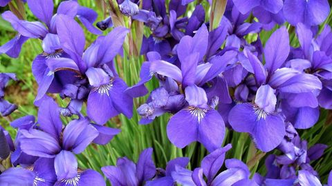 Learning Statistics. Episode 7, Validating Statistical Assumptions cover image cdn