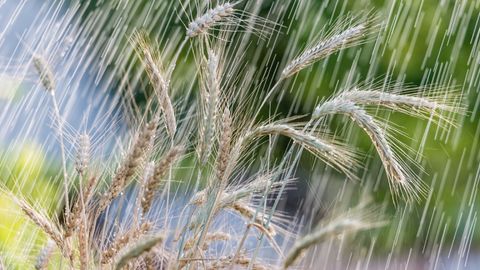 Learning Statistics. Episode 13, Linear Regression Models and Assumptions cover image cdn