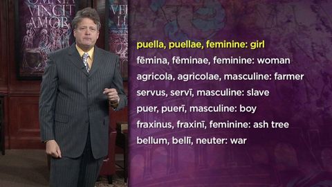 Latin 101. Episode 8, First- and Second-Declension Nouns cover image cdn