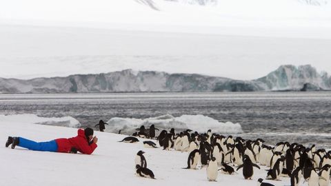 Polar Explorations. Episode 22, Photographing Polar Landscapes cover image cdn