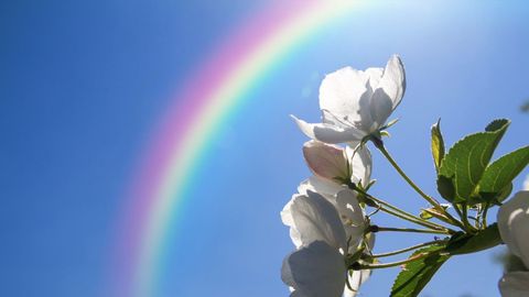 Chemistry and Our Universe. Episode 3, Wave Nature of Light cover image cdn