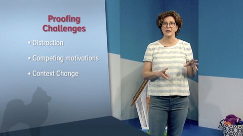 Dog Training 101. Episode 12, Proofing Behavior across Contexts cover image cdn