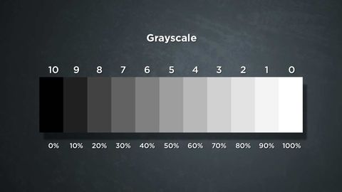 How to Paint. Episode 3, Fundamentals: Establishing Value cover image cdn