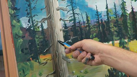 How to Paint. Episode 17, Painting Trees and Bark cover image cdn