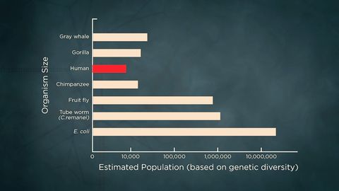 What Darwin Didn't Know. Episode 6, Genetic Drift: When Evolution Is Random cover image cdn