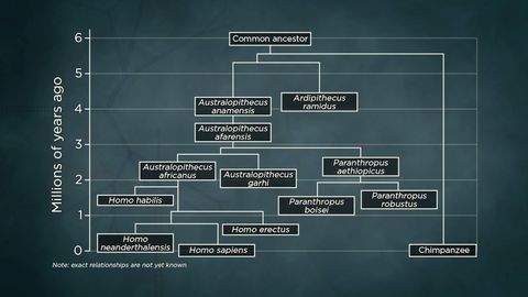 What Darwin Didn't Know. Episode 12, Human Evolution in All Directions cover image cdn