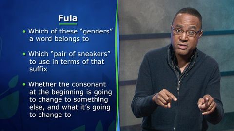 Language Families of the World. Episode 7, Niger-Congo: The Biggest Family in Africa II cover image cdn