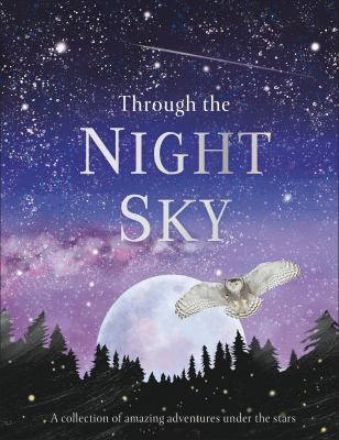 Through the night sky  cover image cdn