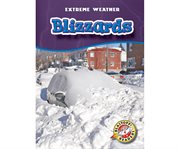 Blizzards cover image cdn