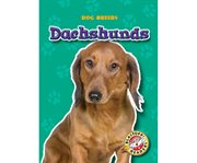 Dachshunds cover image cdn