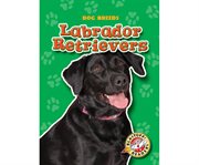 Labrador retrievers cover image cdn