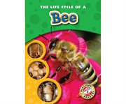The life cycle of a bee cover image cdn