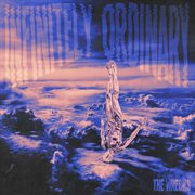 Infinitely ordinary cover image cdn