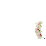 Museum cover image cdn