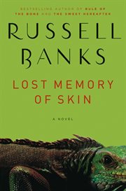 Lost memory of skin cover image cdn
