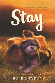 Stay cover image cdn