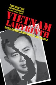Vietnam labyrinth : allies, enemies, and why the U.S. lost the war cover image cdn