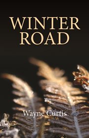 Winter road cover image cdn