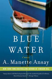 Blue water cover image cdn