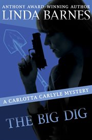 The Big Dig cover image cdn