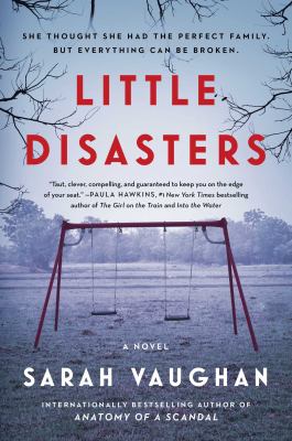 Little disasters  cover image cdn