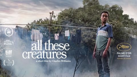 All These Creatures cover image cdn