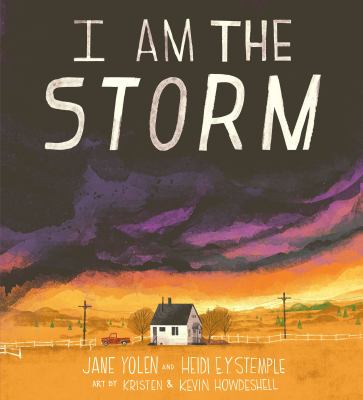 I am the storm  cover image cdn