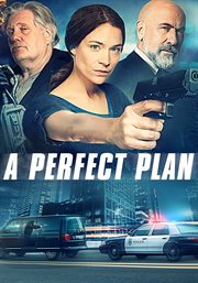 A perfect plan cover image cdn