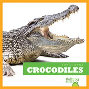 Crocodiles cover image cdn