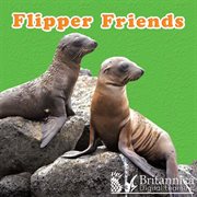 Flipper friends cover image cdn
