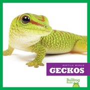 Geckos cover image cdn