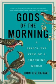 Gods of the morning cover image cdn
