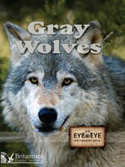 Gray wolves cover image cdn