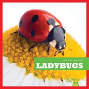 Ladybugs cover image cdn